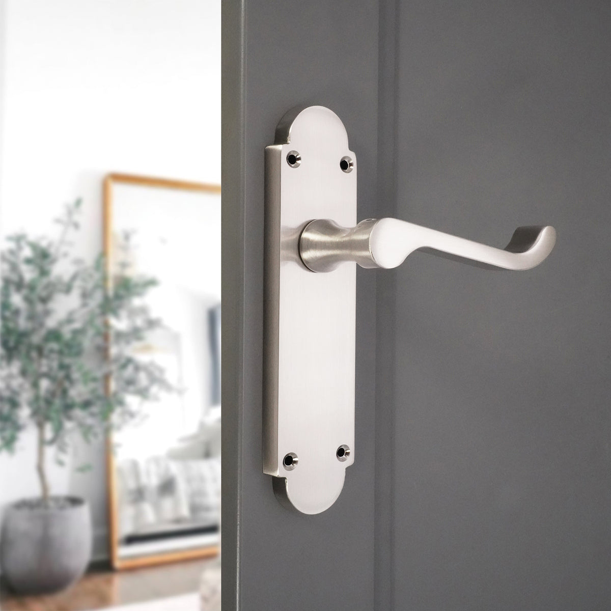 Oakley Lever on Backplate Latch Satin Nickel