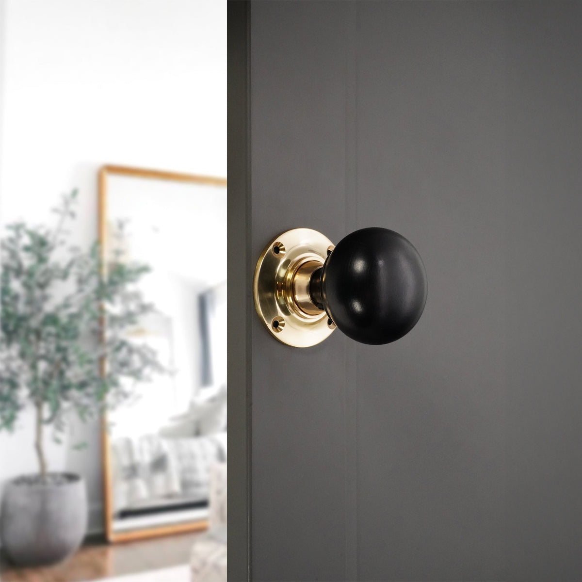 Ebony Bun Rim/Mortice Door Knob Polished Brass