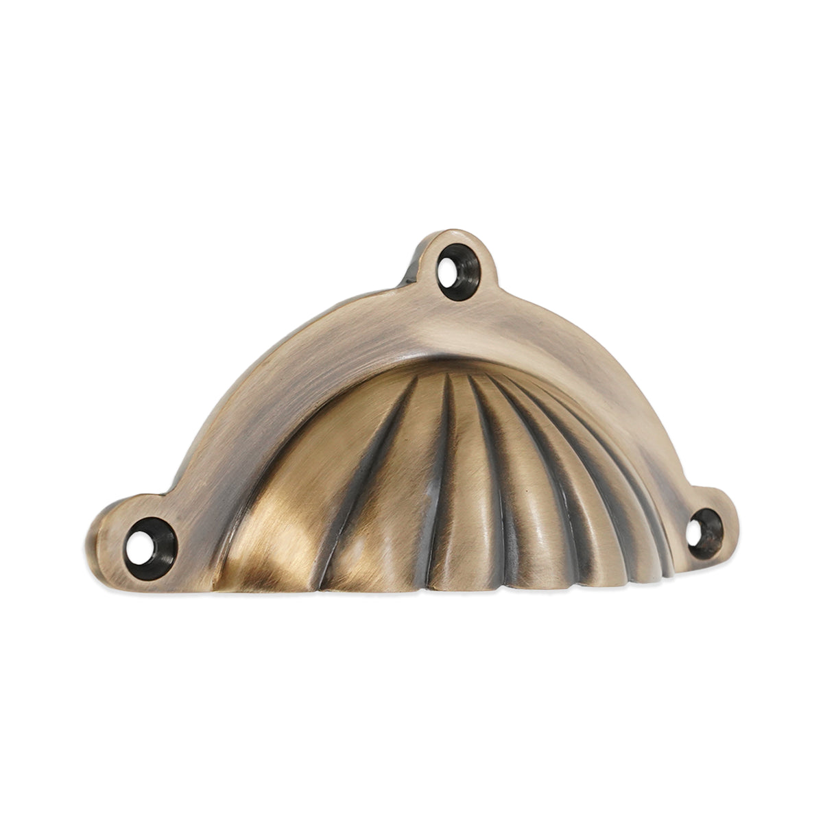 Shell Cup Pull Antique Brass