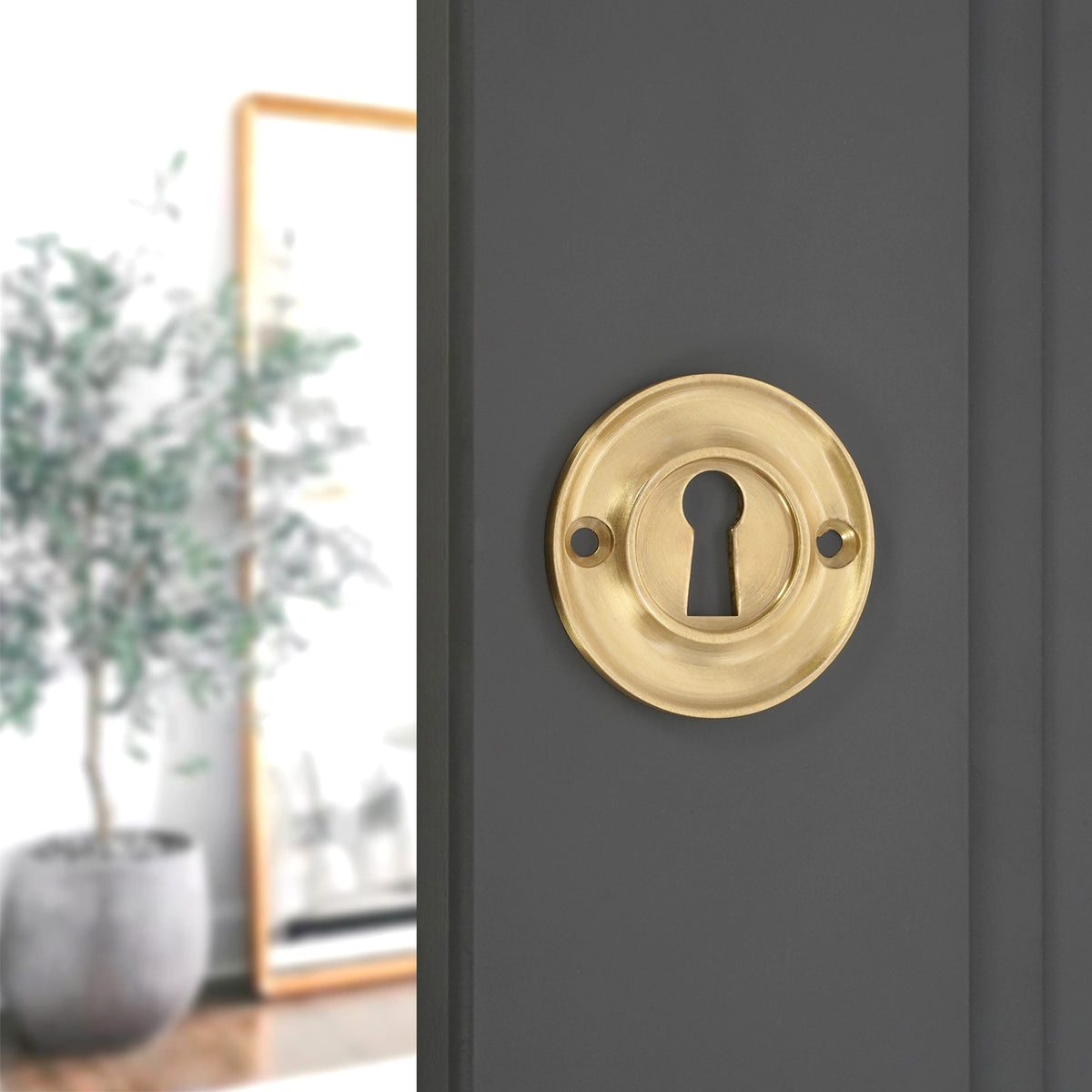 Slimline Standard Escutcheon Satin Brass