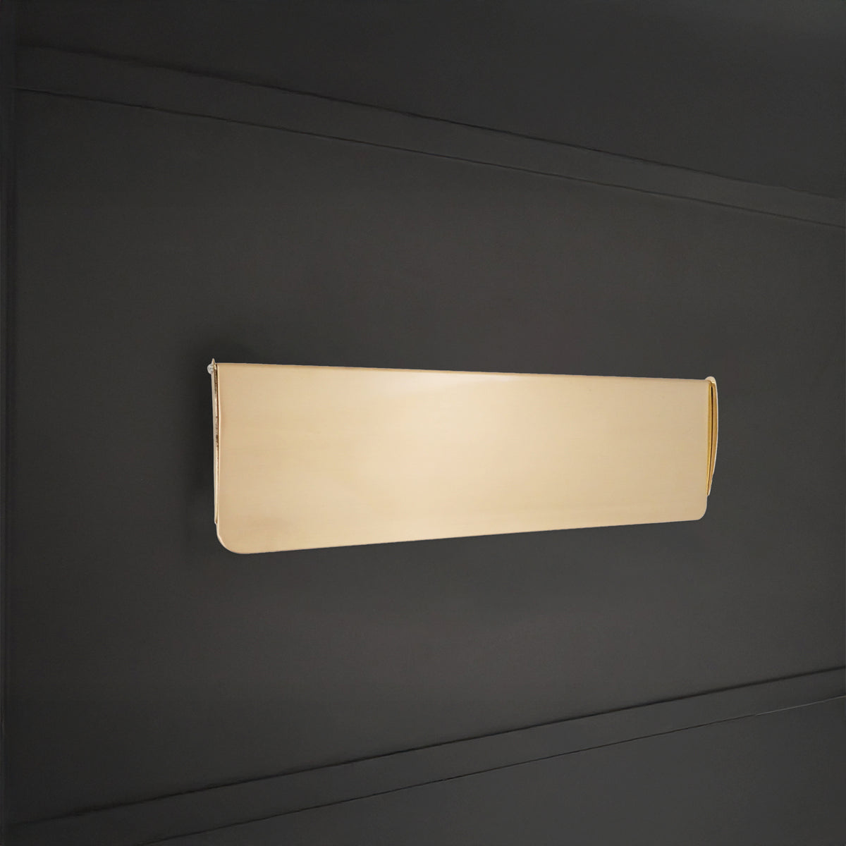 Tidy Flap 300 x 87mm Satin Brass